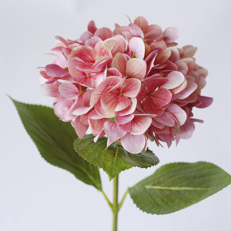 Ophelia & Co. Artificial Lifelike Hydrangeas Stems | Wayfair.ca
